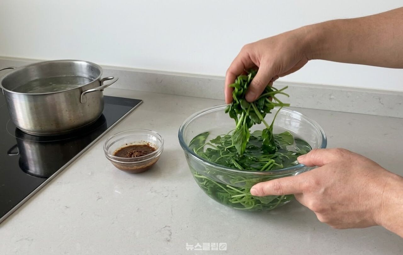 비름나물 / 기사 이해를 돕기 위한 AI 이미지