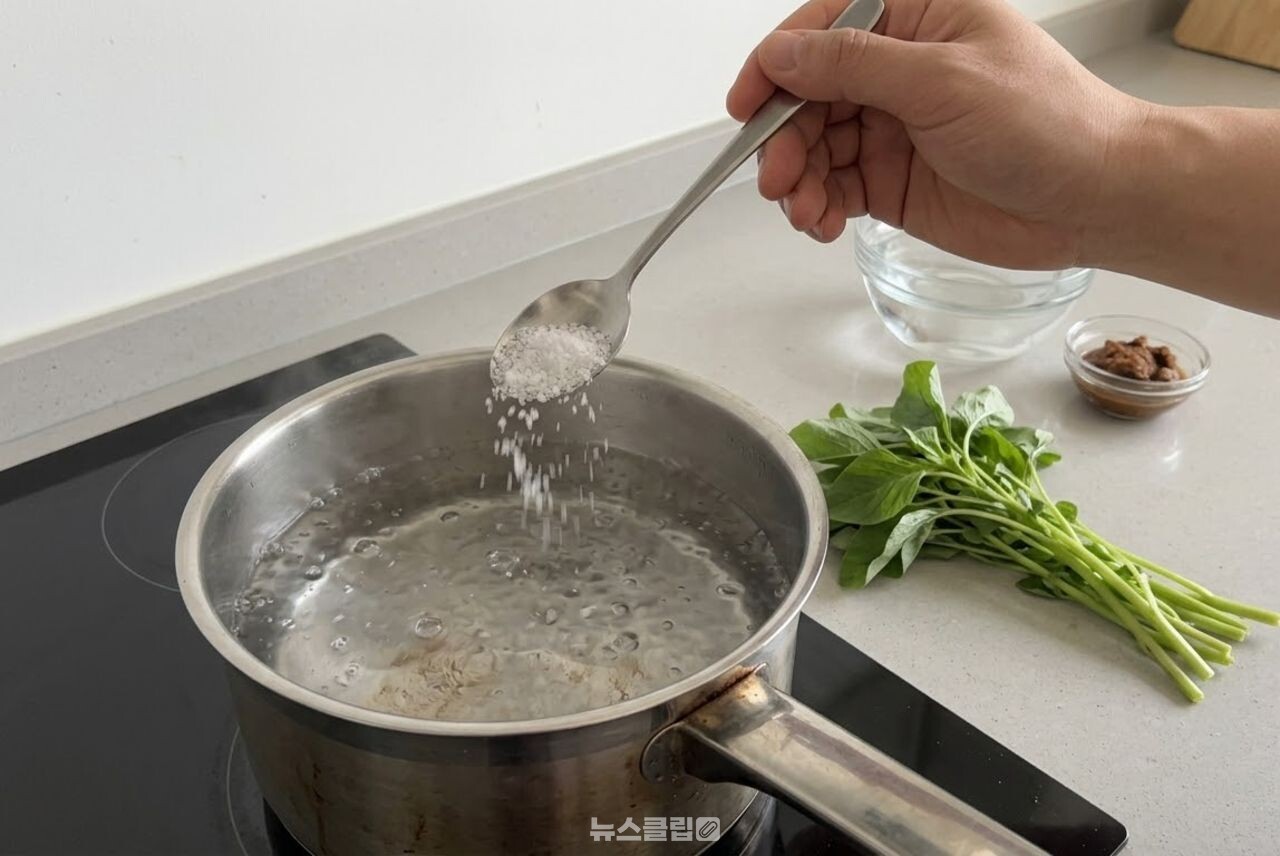 비름나물 / 기사 이해를 돕기 위한 AI 이미지