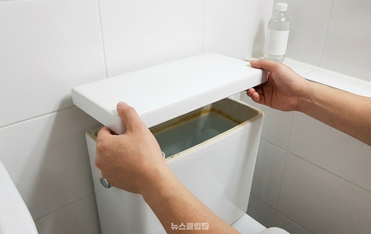변기 물때 청소 / 기사 이해를 돕기 위한 AI 이미지