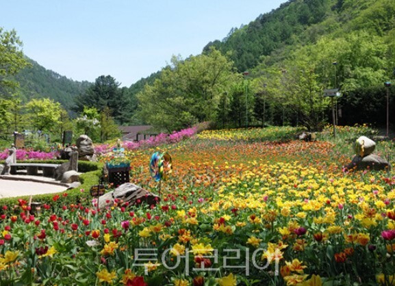 허브나라농원/사진-평창관광문화재단
