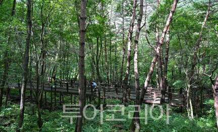 이효석문학의 숲 /사진-평창관광문화재단  