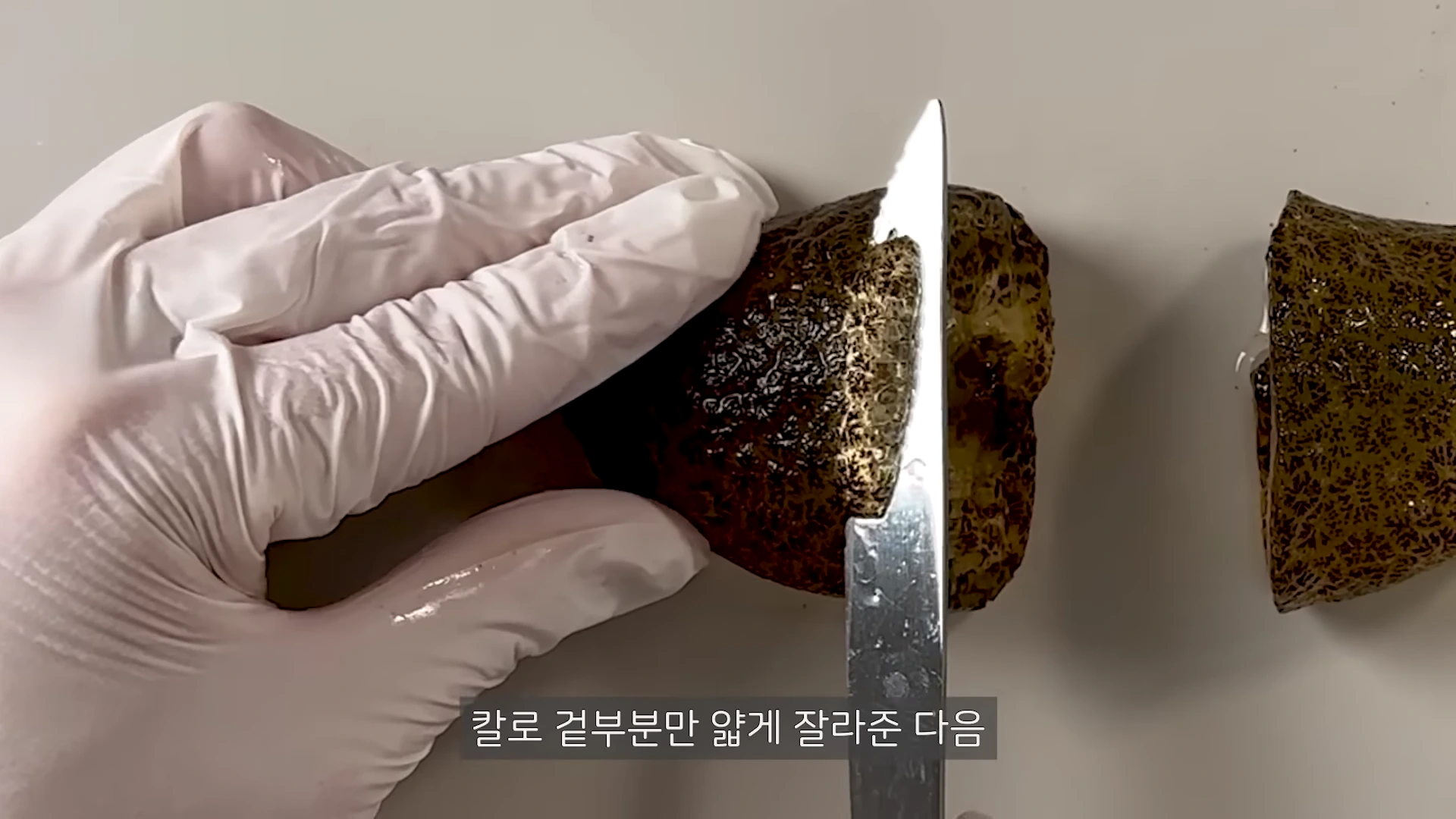 흰색 장갑을 낀 손이 칼을 사용하여 젤리처럼 보이는 어두운 색의 생물체 겉면을 얇게 잘라내는 모습