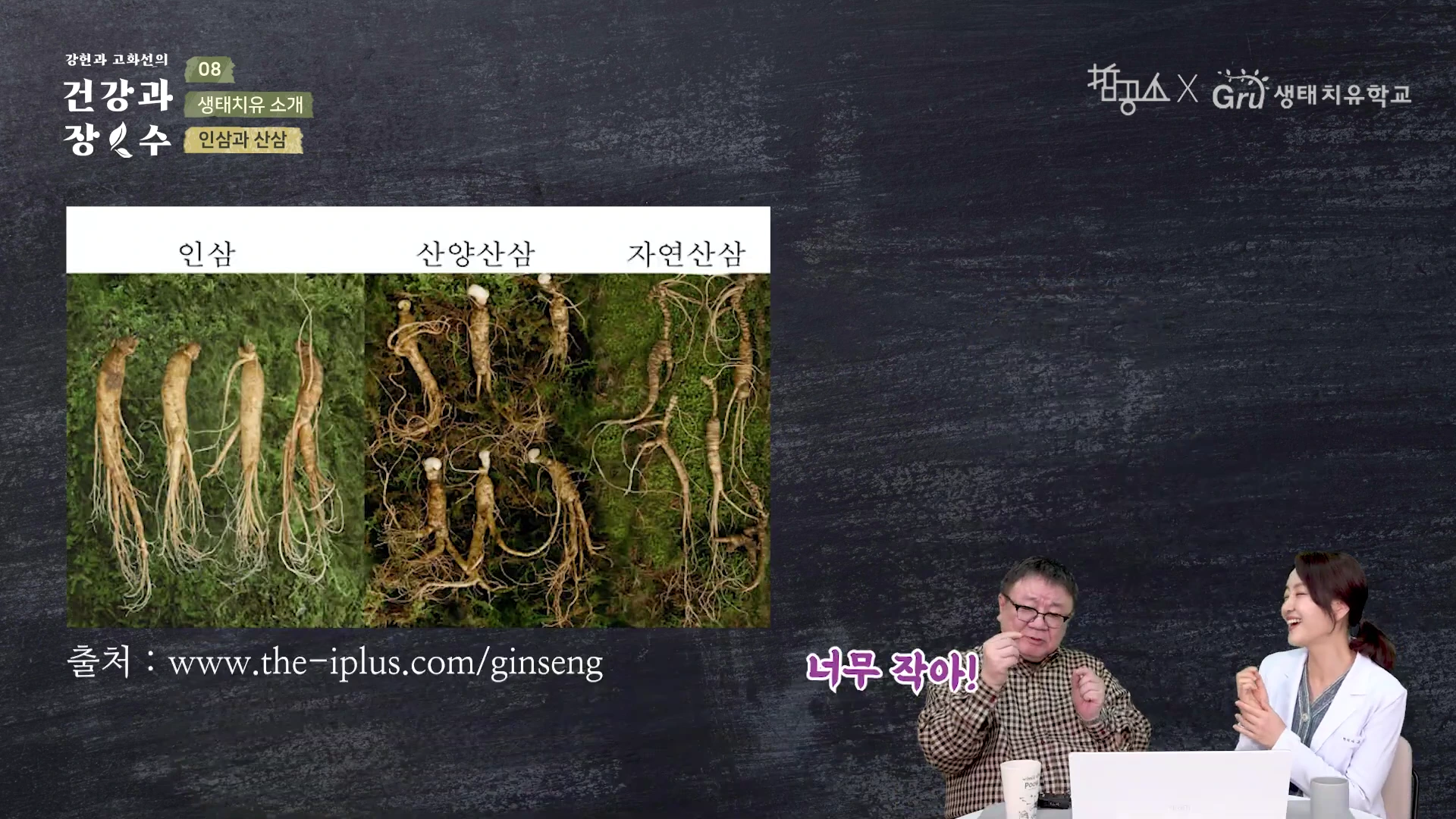 인삼, 산양산삼, 자연산삼의 형태를 비교한 사진과 두 명의 진행자가 대담을 나누는 영상의 한 장면입니다.