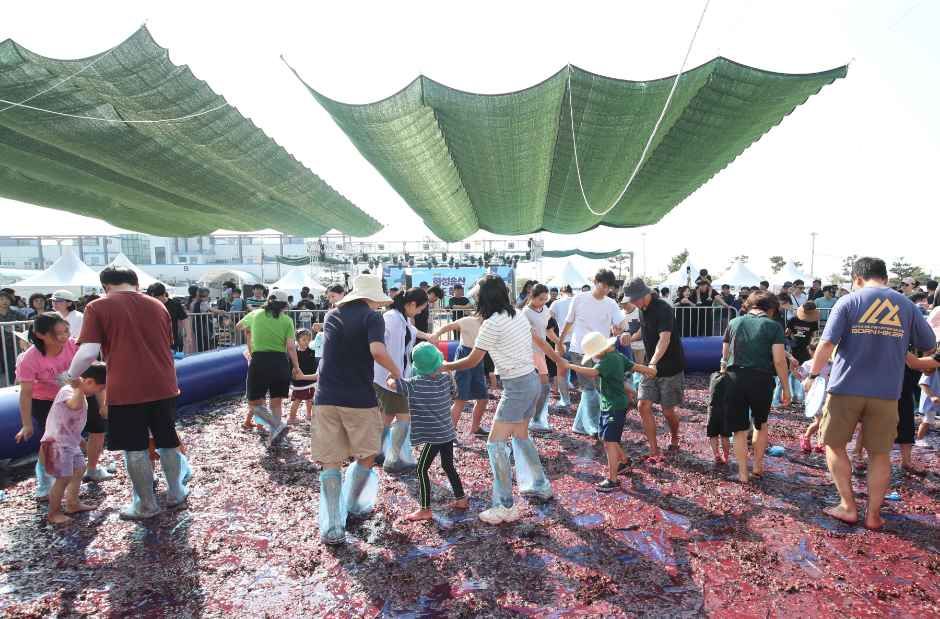 지난 화성송산포도축제 모습 / 사진=한국관광공사