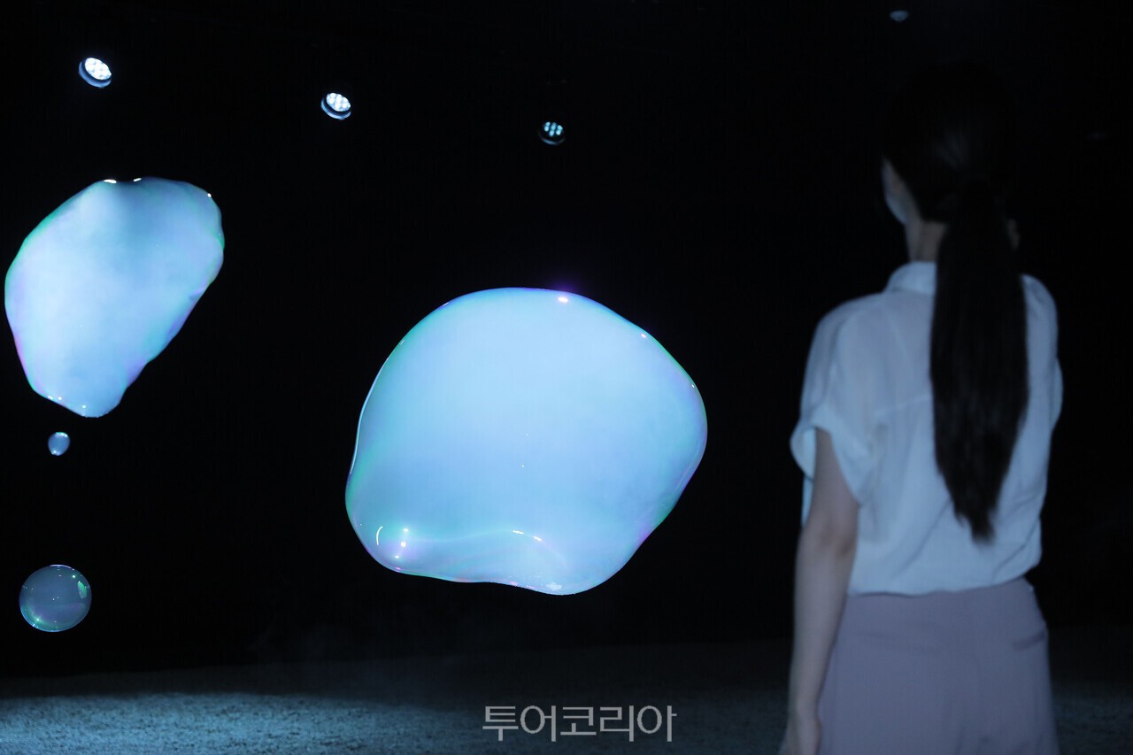 A.A.무라카미(A.A. Murakami)의 국내 첫 개인전 ‘New Nature’ Beyond the Horizon/사진-파라다이스시티