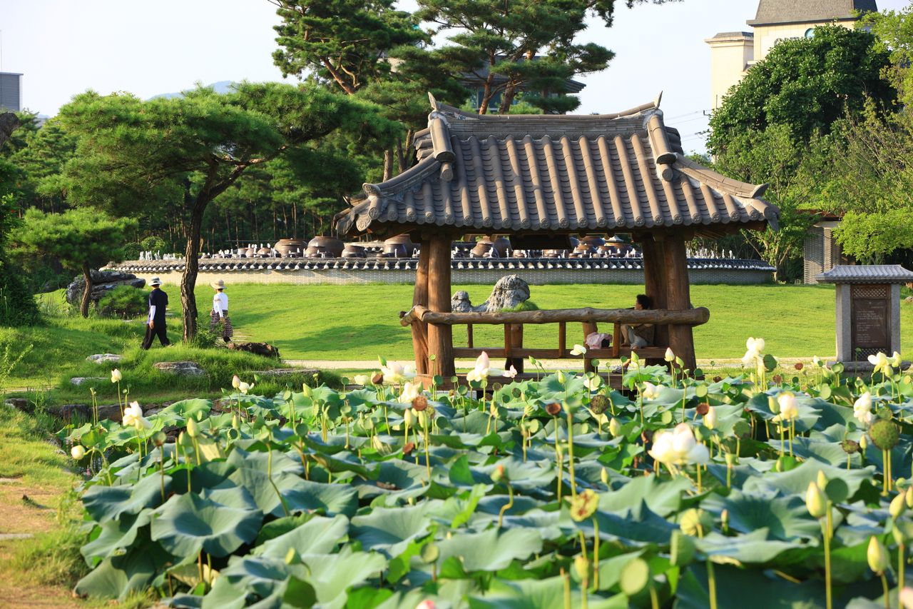 세미원 / 한국관광콘텐츠랩-김지호