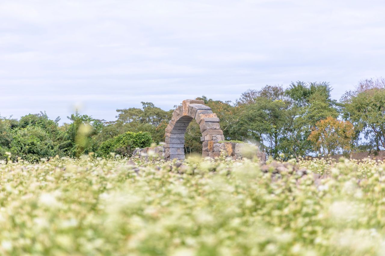 와흘메밀마을 / 한국관광콘텐츠랩-황성훈