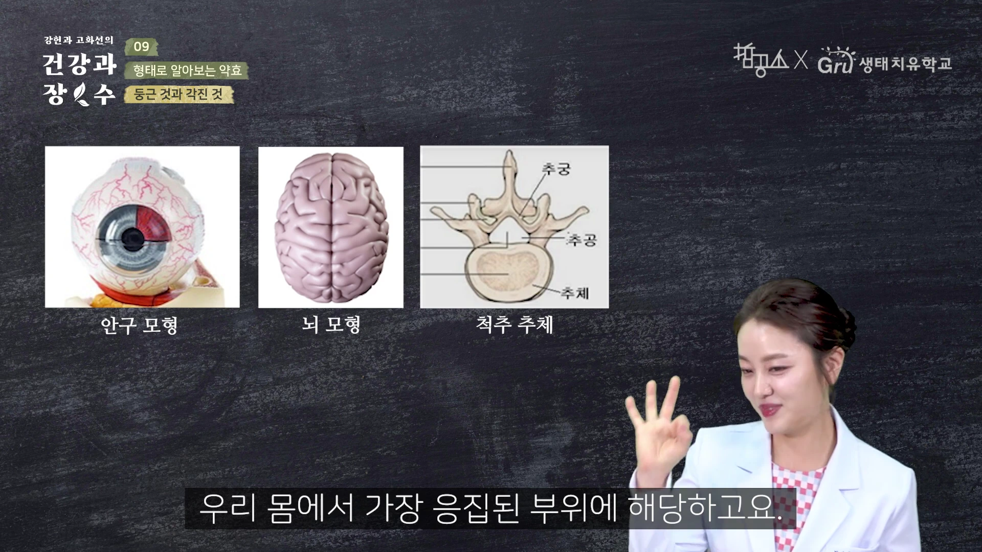 강의실 배경 앞에서 흰색 가운을 입은 여성이 손짓하며 설명하고 있고, 화면 왼쪽에는 안구, 뇌, 척추 추체 모형이 그려진 학습 자료가 배치되어 있습니다.