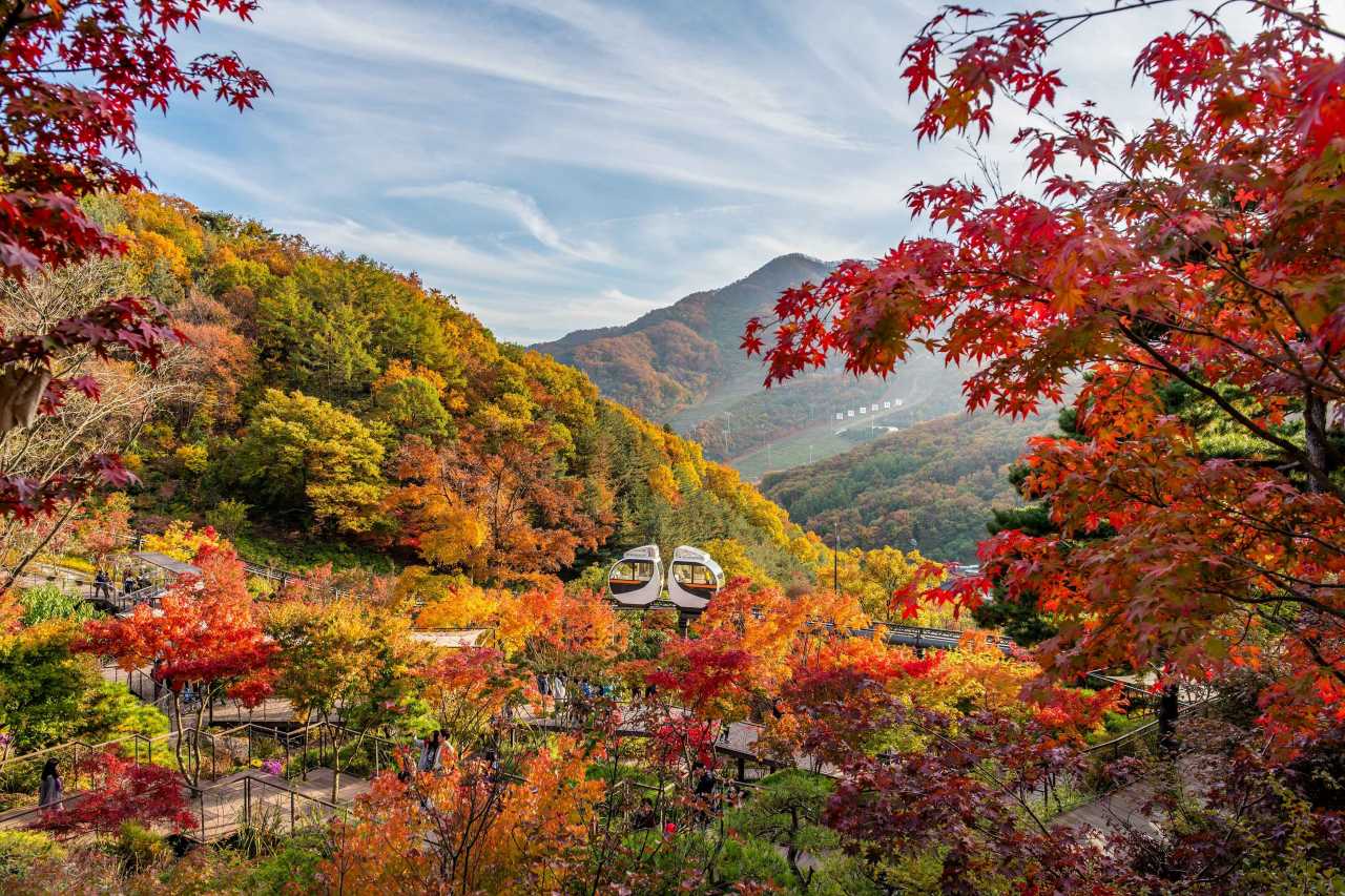화담숲 예매, 벌써부터 인기 몰이중 / 사진=한국관광공사 포토코리아@김대형