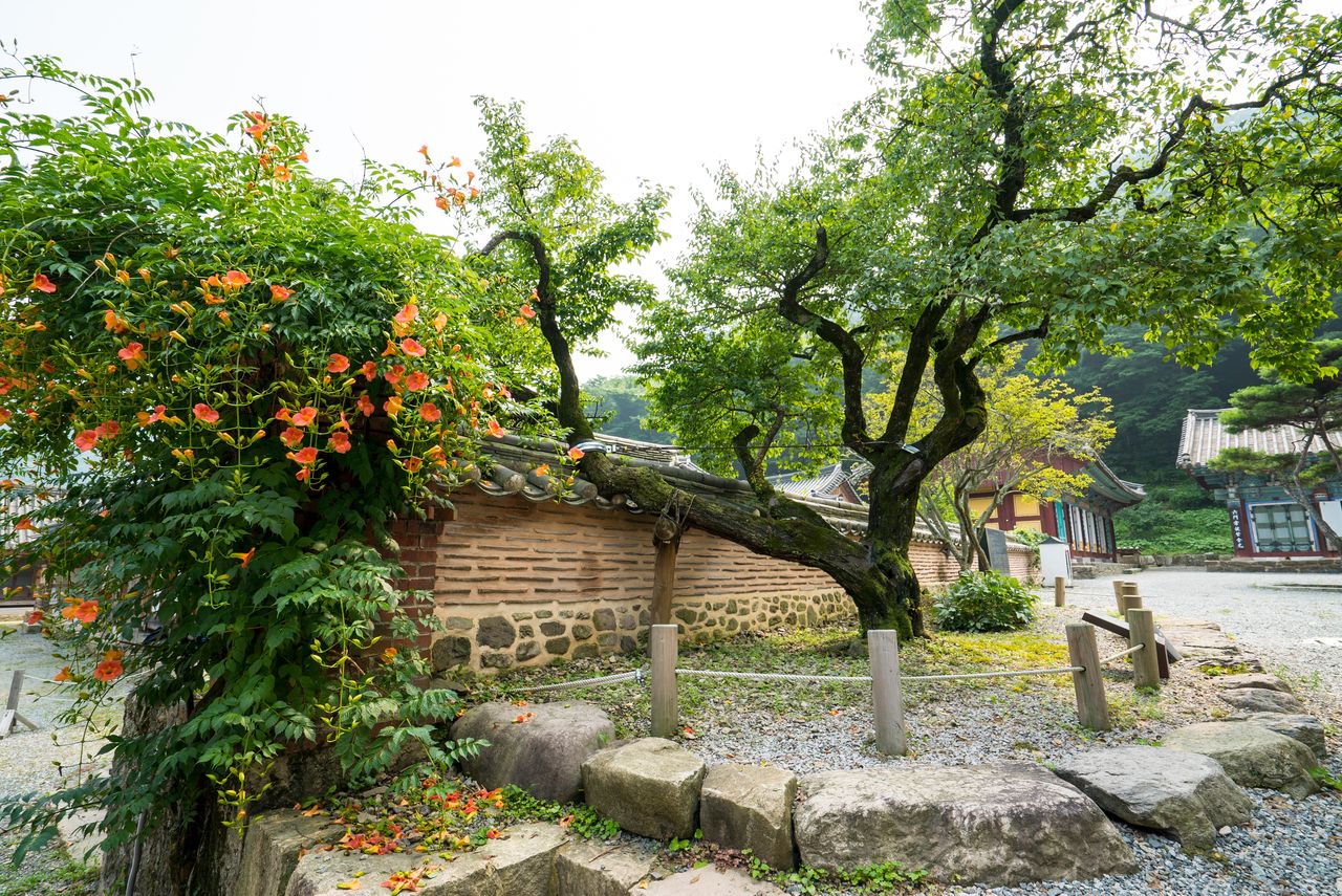 백양사 / 한국관광콘텐츠랩-김지호