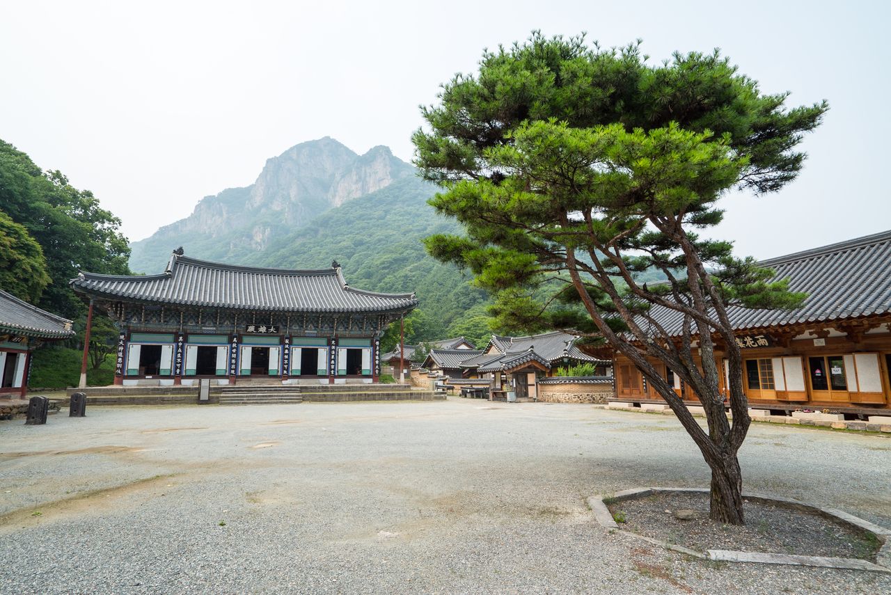 백양사 / 한국관광콘텐츠랩-김지호