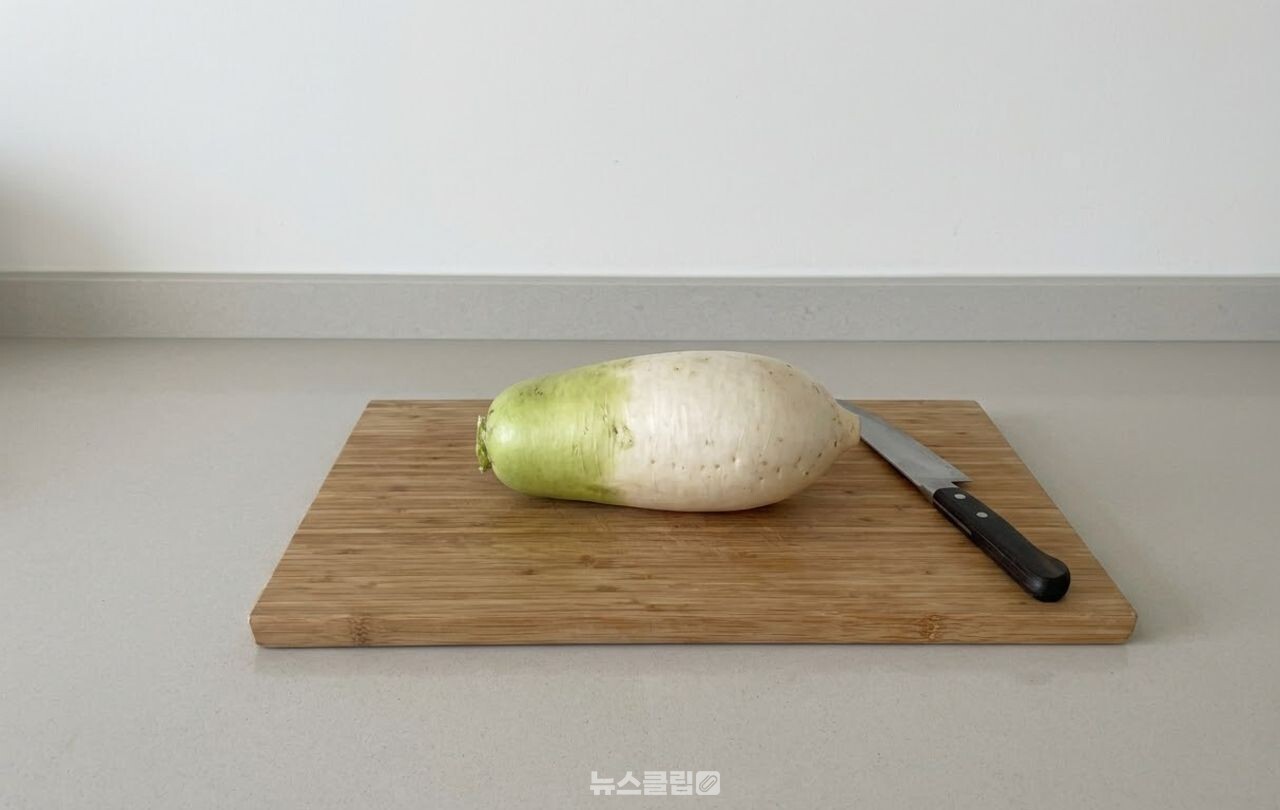 무 부위 / 기사 이해를 돕기 위한 AI 이미지