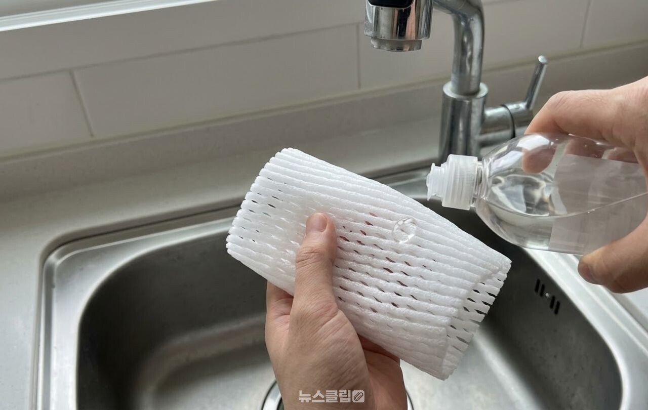 과일망 재활용 / 기사 이해를 돕기 위한 AI 이미지