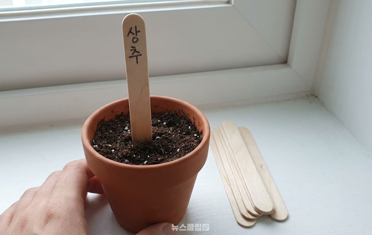 아이스크림 막대 / 기사 이해를 돕기 위한 AI 이미지