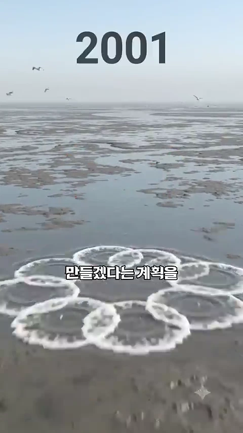 2001년이라는 연도가 표시된 황량한 갯벌 위로 갈매기들이 날아다니고, 화면 중앙에는 꽃 모양의 그래픽 효과가 겹쳐져 있는 영상 스틸컷입니다.