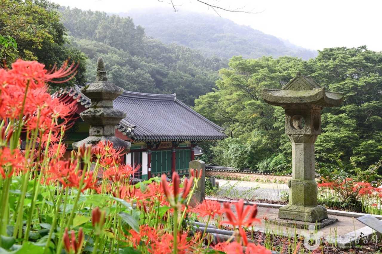 용천사와 붉은 꽃무릇이 어울려 고즈넉하면서도 기품이 느껴집니다 / 사진=한국관광공사