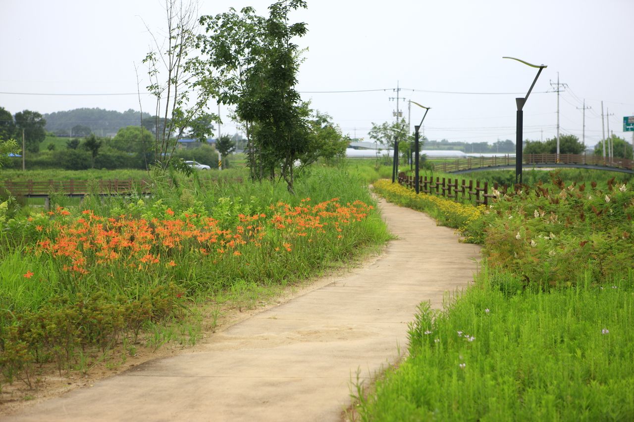 탑정호 수변생태공원 / 한국관광콘텐츠랩-김지호