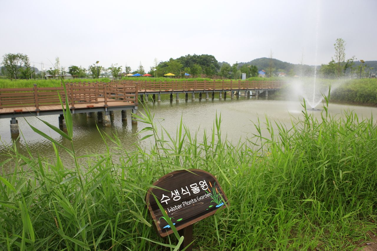 탑정호 수변생태공원 / 한국관광콘텐츠랩-김지호