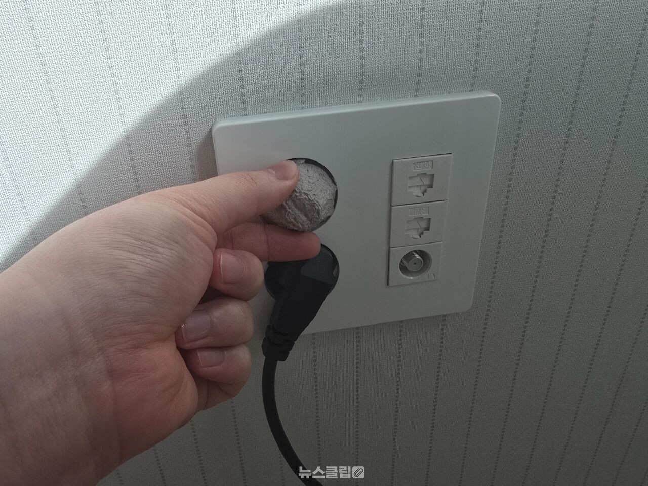 계란판 향수 방향제 / 뉴스클립