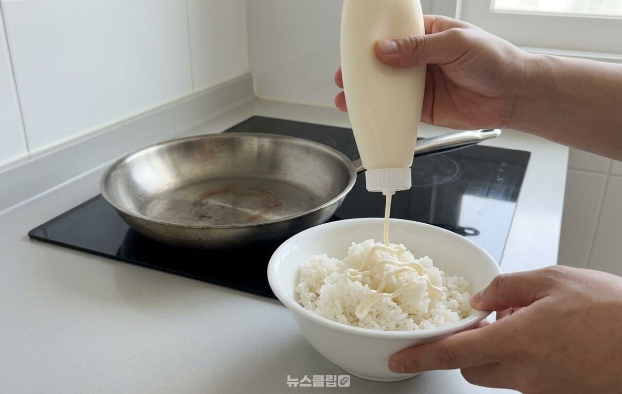 고슬고슬한 볶음밥 / 기사 이해를 돕기 위한 AI 이미지