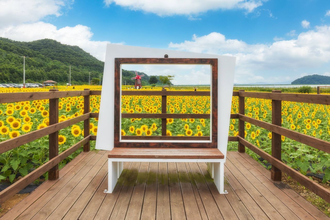 난정리 해바라기마을 정원 / 한국관광콘텐츠랩-정규진