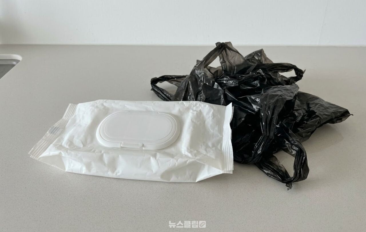 물티슈 비닐봉지 수납함 / 기사 이해를 돕기 위한 AI 이미지
