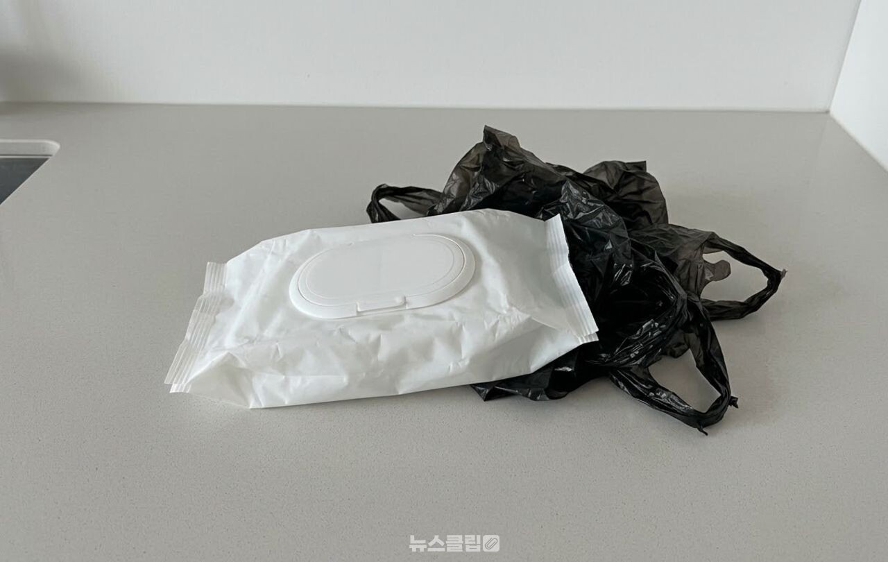물티슈 비닐봉지 수납함 / 기사 이해를 돕기 위한 AI 이미지