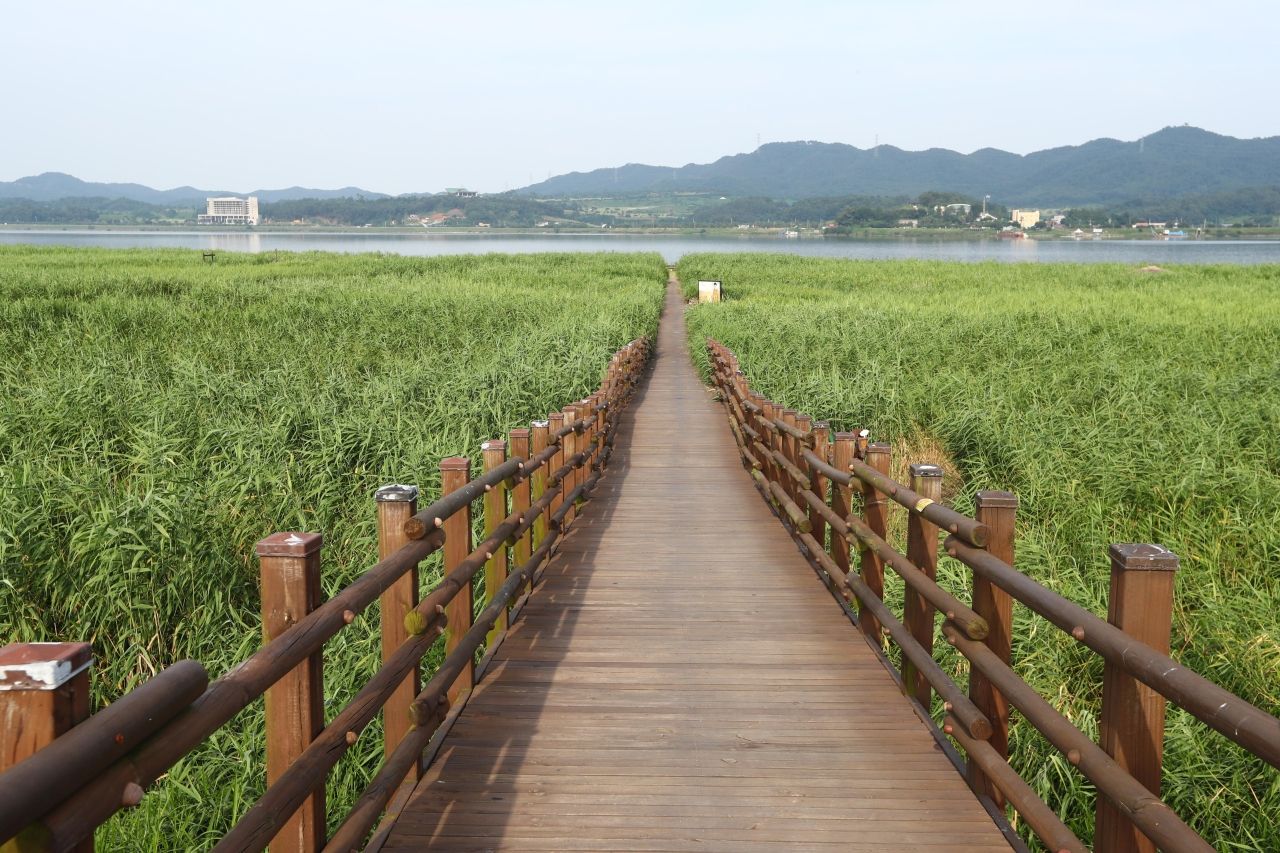 신성리 갈대밭 / 한국관광콘텐츠랩-김지호