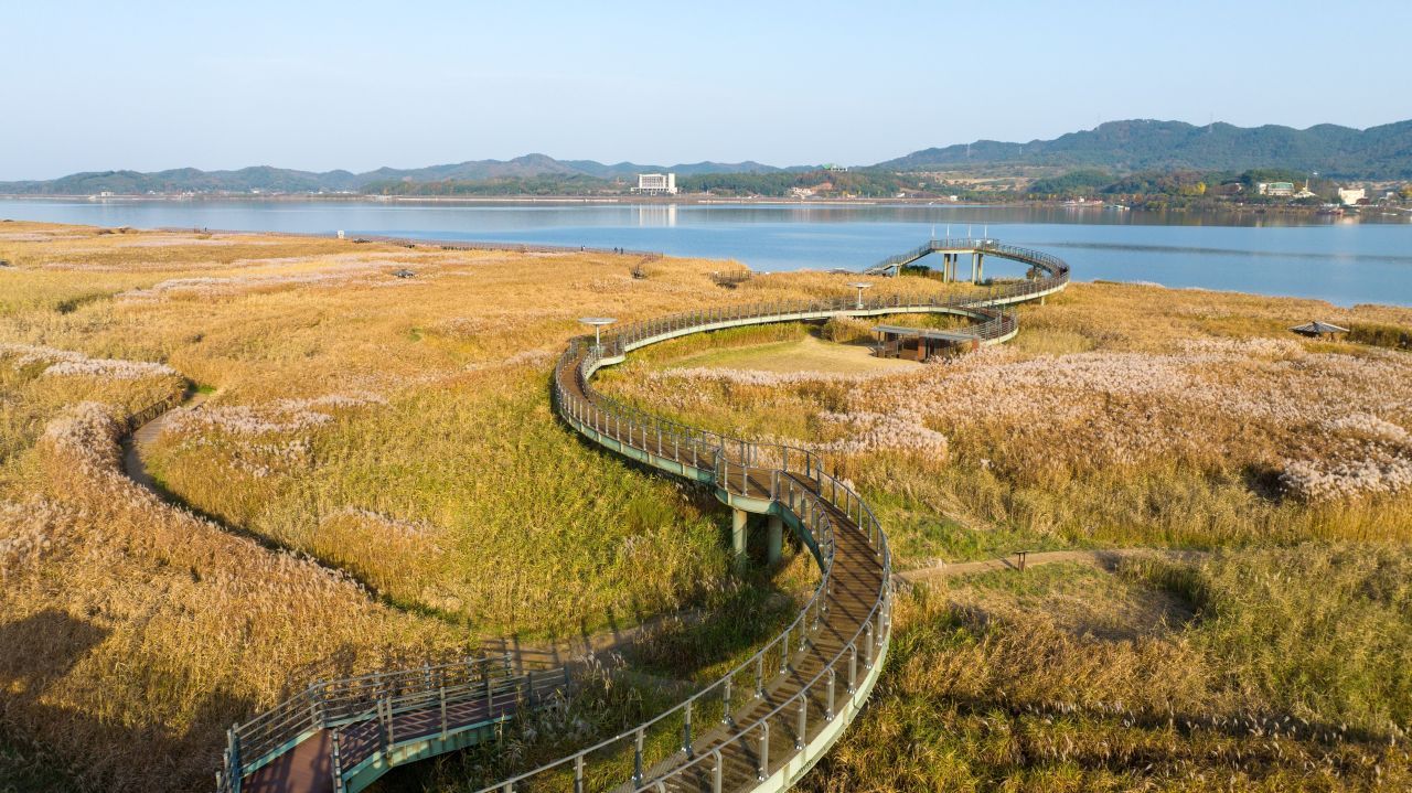 신성리 갈대밭 / 한국관광콘텐츠랩-김지호