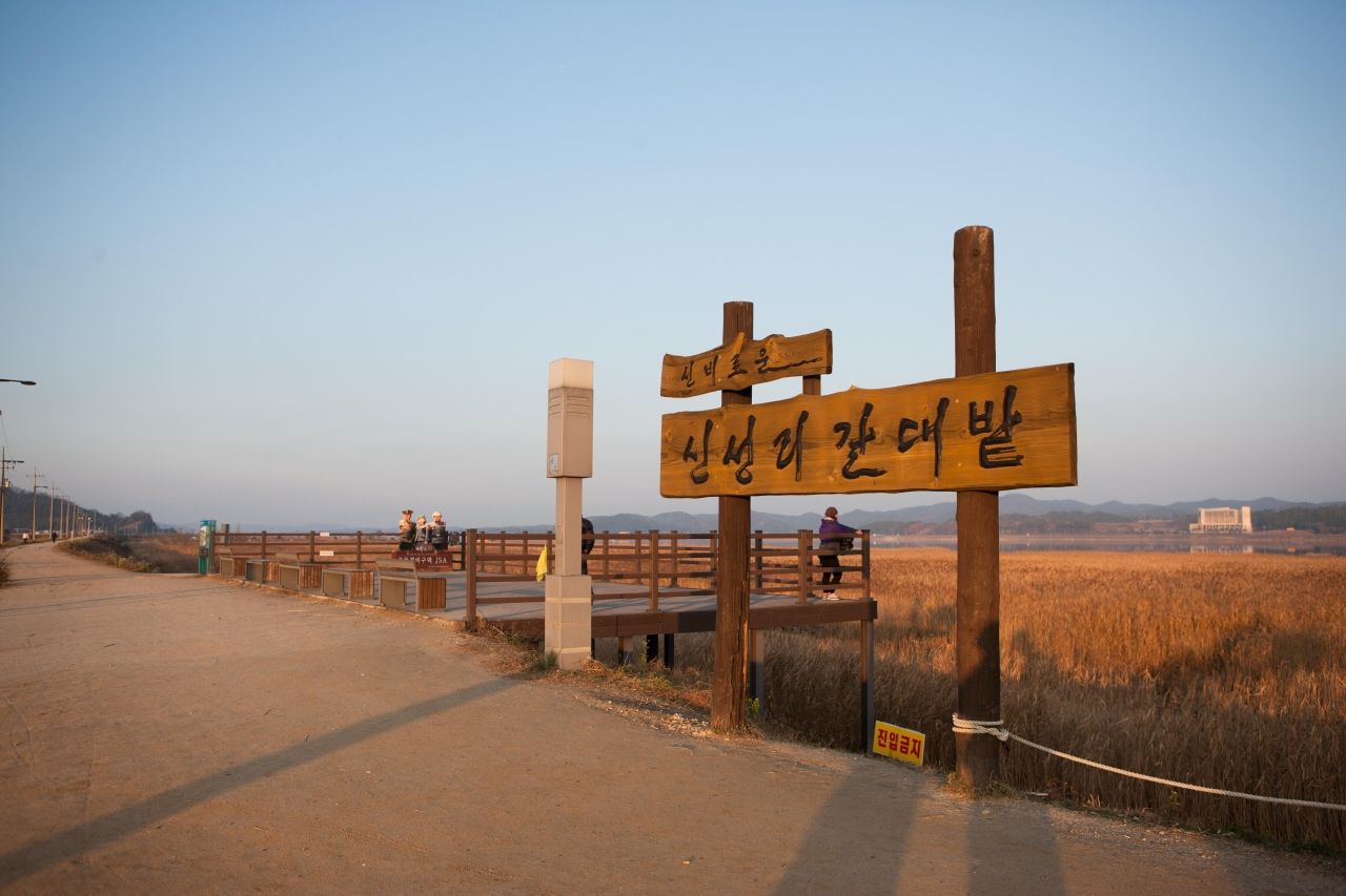 신성리 갈대밭 / 한국관광콘텐츠랩-김지호