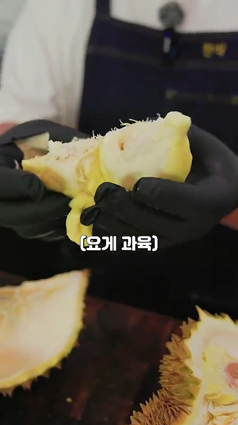 검은색 장갑을 낀 손으로 두리안의 연노란색 과육을 갈라 보여주는 모습이 담긴 화면
