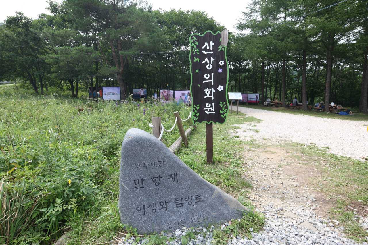 차로 오르는 최고 높이 / 사진=한국관광공사 포토코리아@김지호