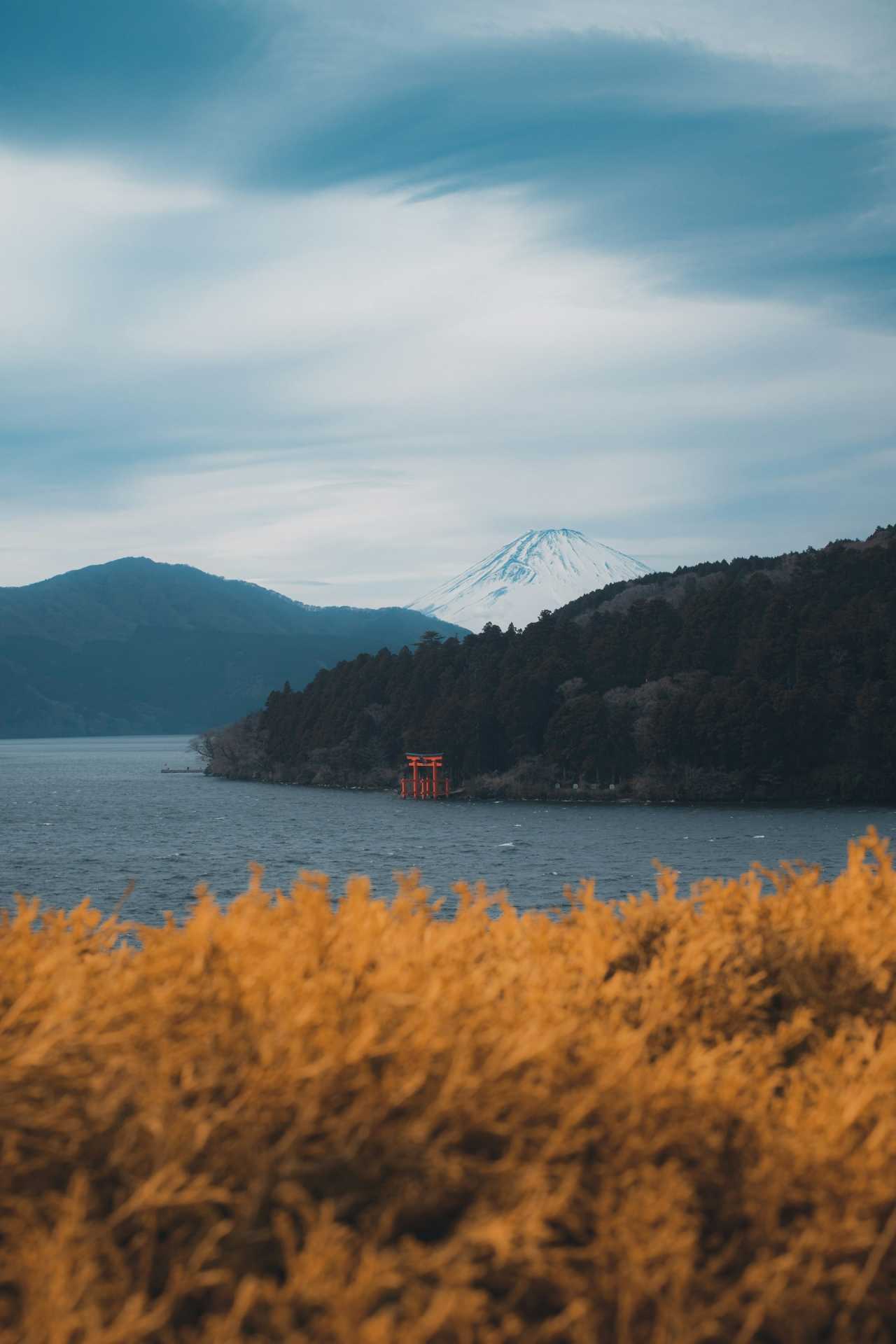 하코네 단풍도 즐기고 온천도 즐기자 / 사진=unsplash