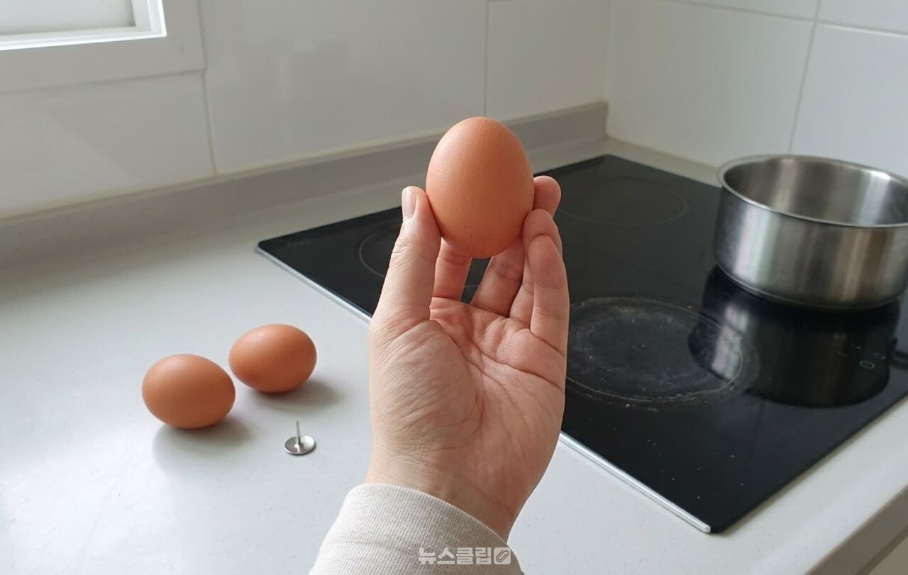 삶은 계란 / 기사 이해를 돕기 위한 AI 이미지