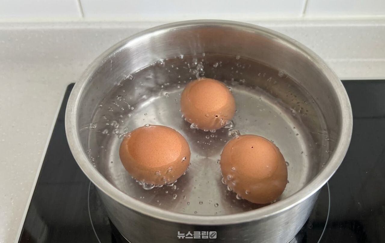 삶은 계란 / 기사 이해를 돕기 위한 AI 이미지