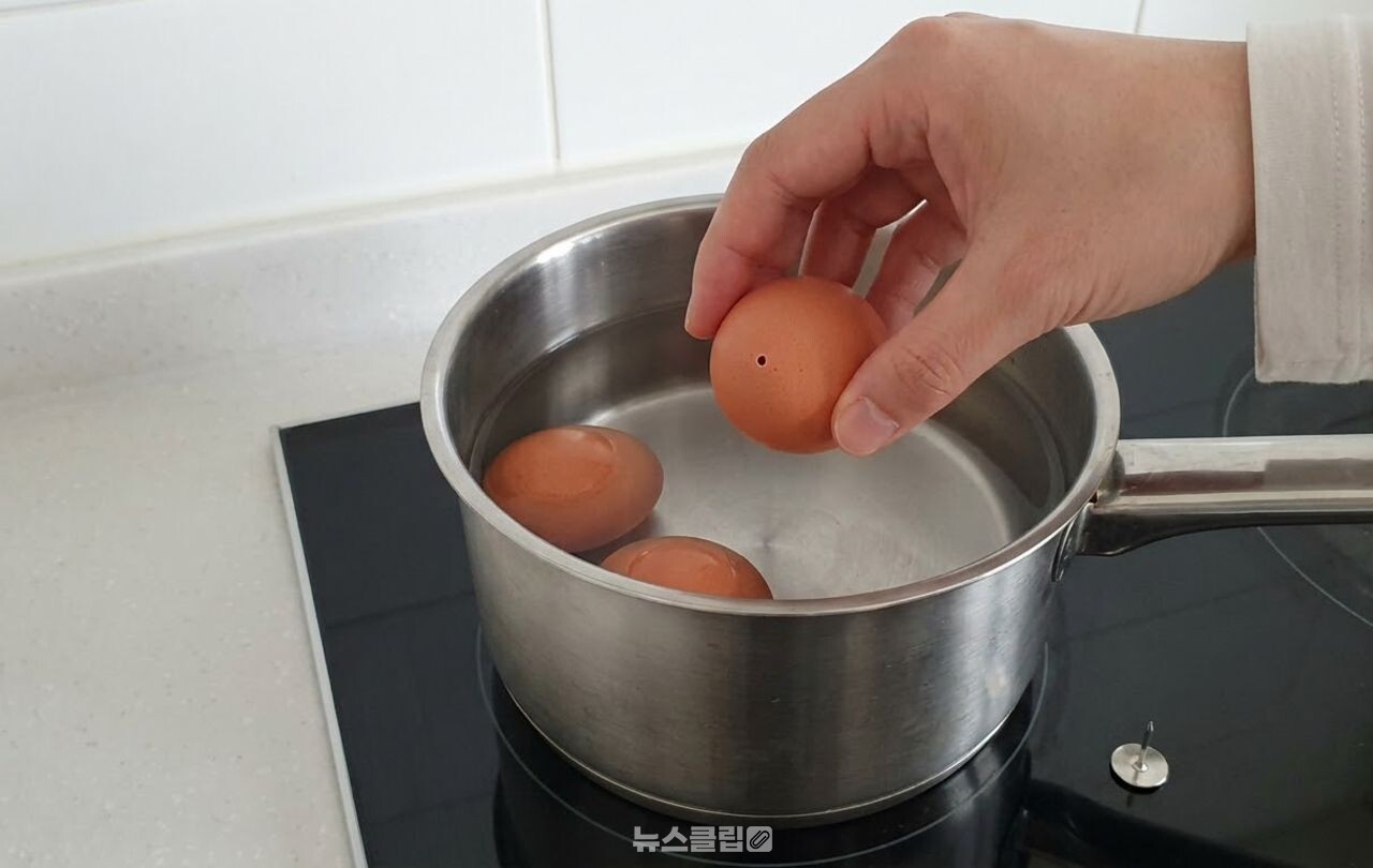 삶은 계란 / 기사 이해를 돕기 위한 AI 이미지
