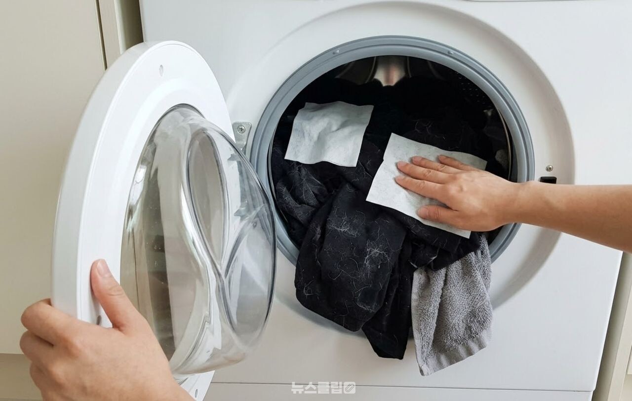 세탁기 물티슈 / 기사 이해를 돕기 위한 AI 이미지