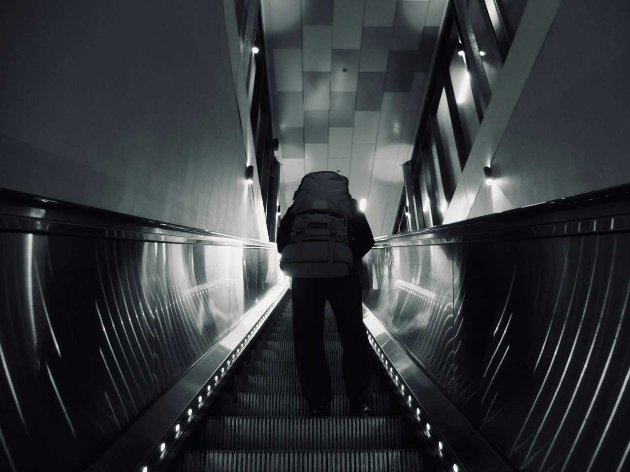 이리저리 뛰어다녀야합니다 / 사진=unsplash