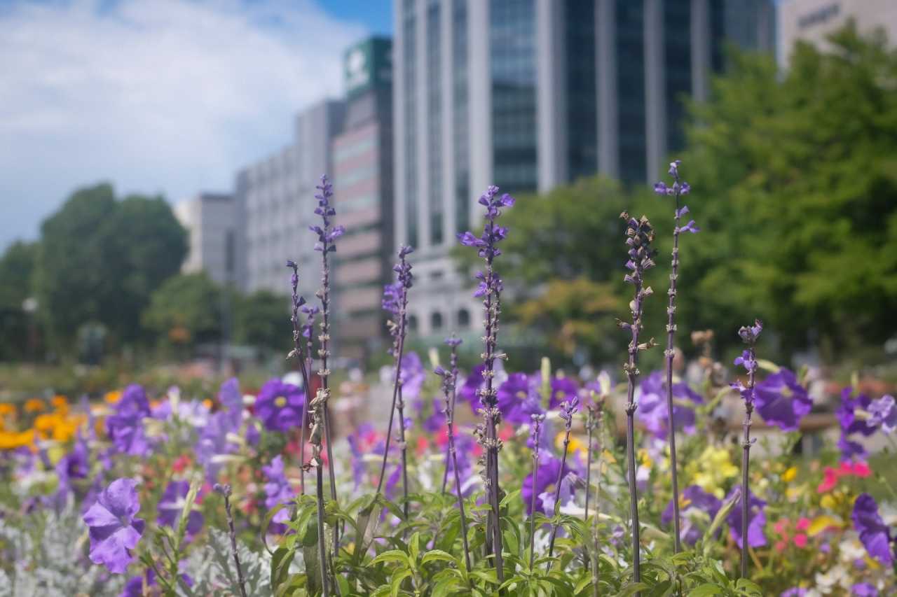북해도로가기 / 사진=unsplash