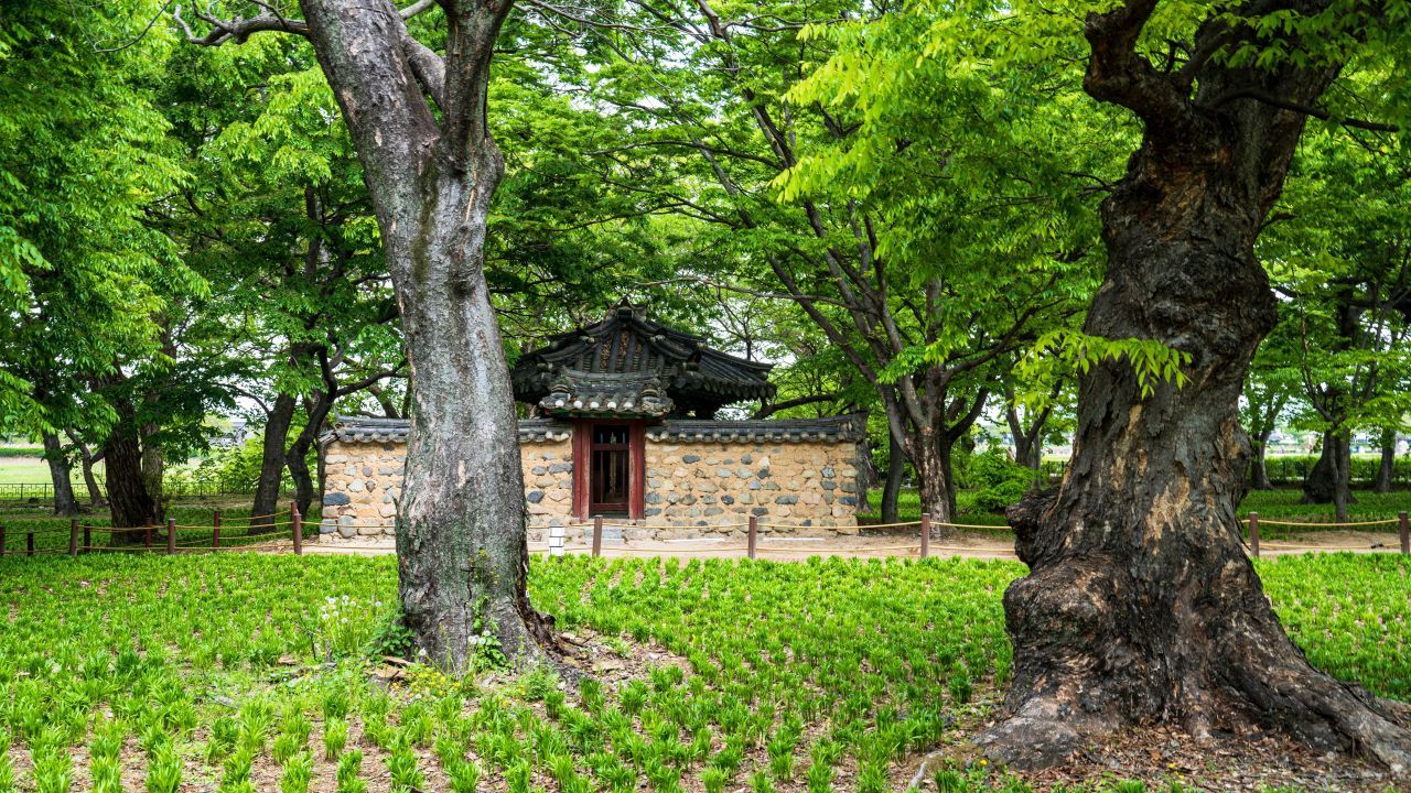 경주 계림 / 한국관광콘텐츠랩-김지호