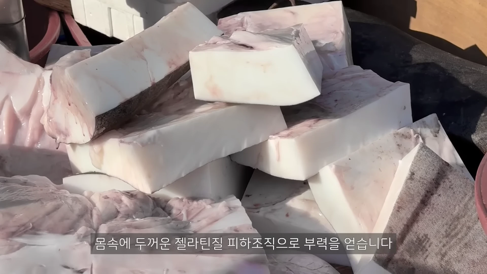 덩어리째 잘려 나간 하얀색의 개복치 살점들이 쌓여 있는 모습
