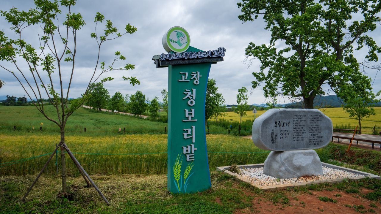 보리나라 학원농장 / 한국관광콘텐츠랩-김지호