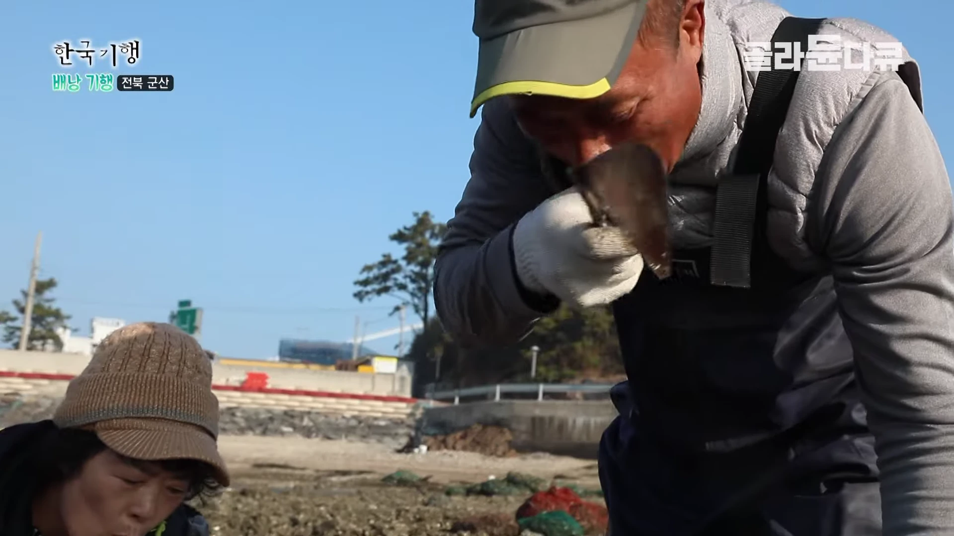 전북 군산의 갯벌에서 한 남성이 굴을 까서 먹고 있고, 옆에서 갈색 모자를 쓴 여성이 앉아 있는 모습이 담긴 방송 화면이다.
