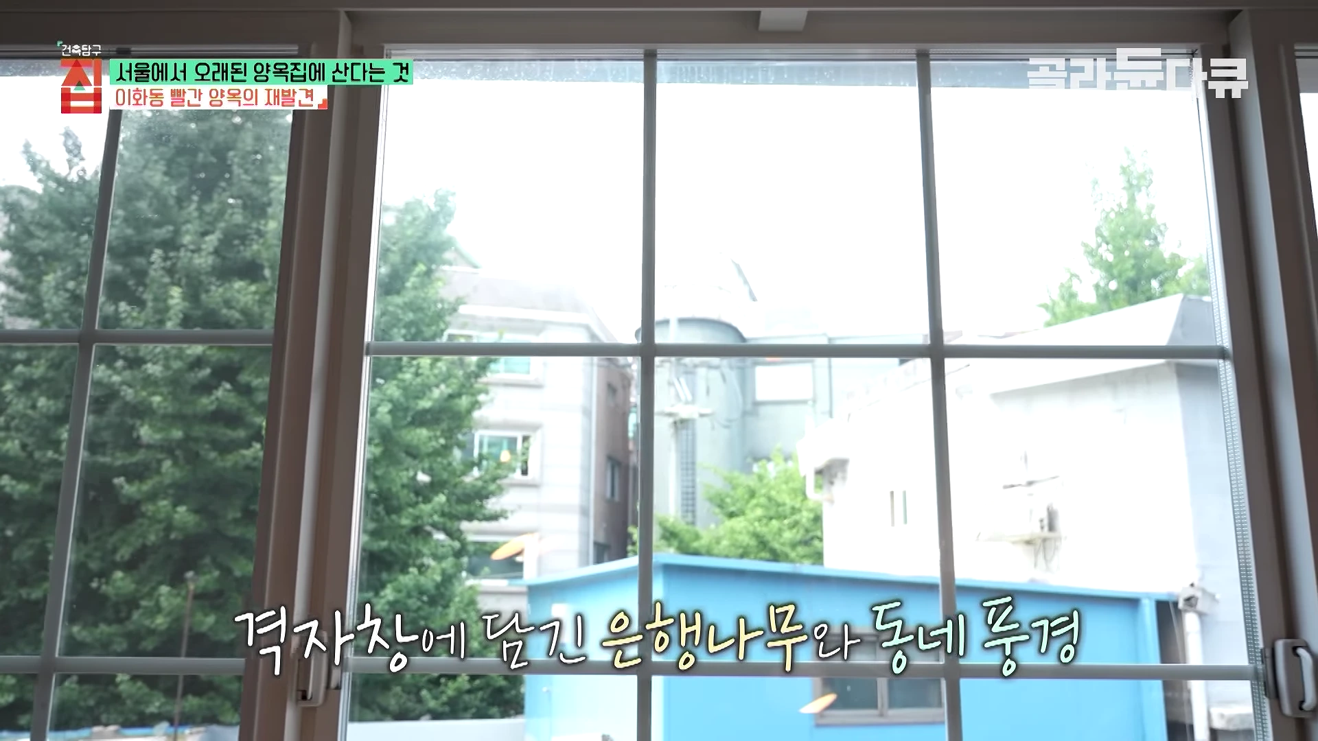 실내에서 창문을 통해 바라본 바깥 풍경으로, 격자무늬 창틀 너머로 푸른 은행나무와 이웃한 주택들의 지붕이 보입니다.