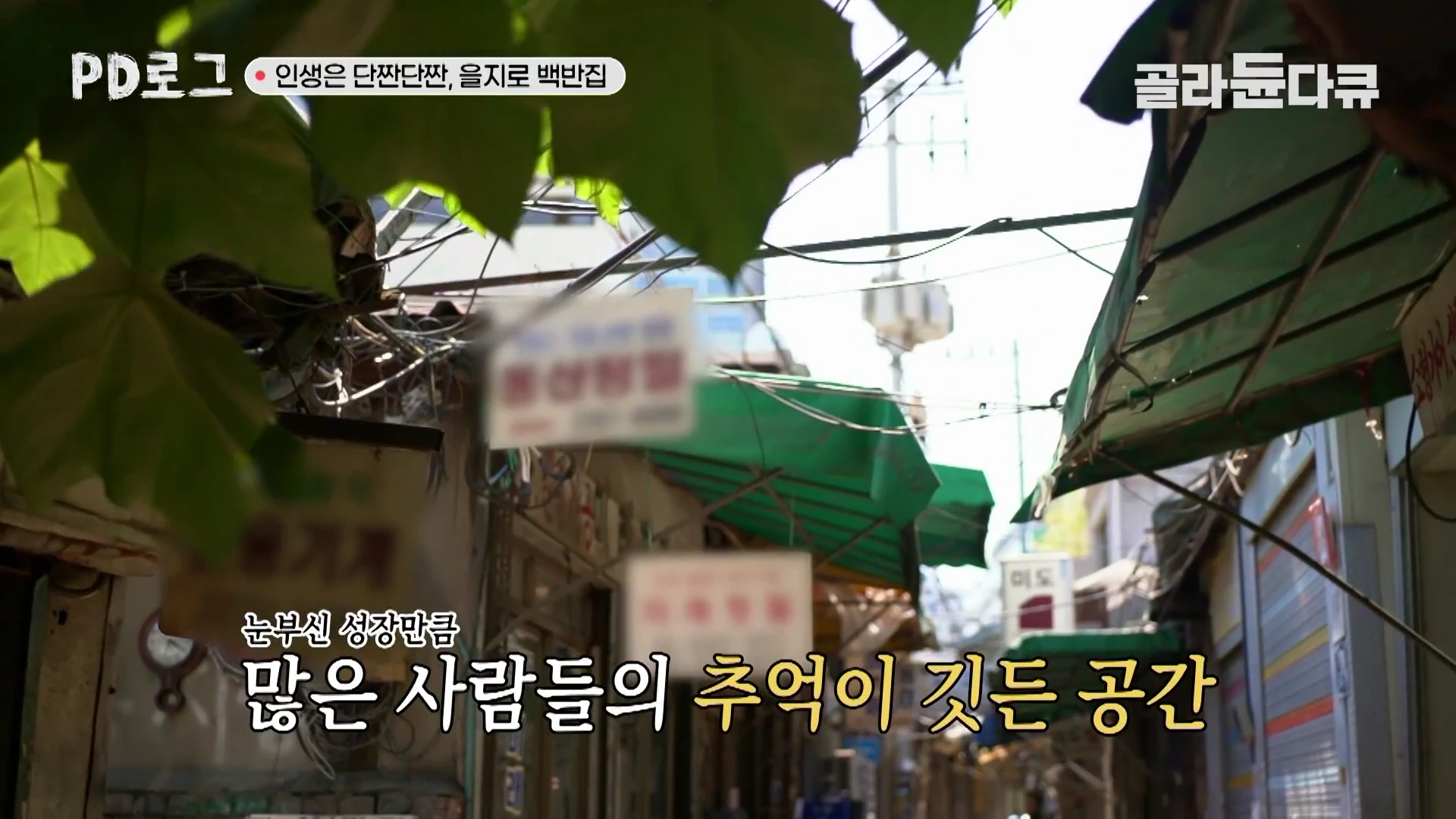 을지로의 좁고 오래된 골목길에 나뭇잎이 걸쳐져 있고, 상점들의 차양과 흐릿한 간판들이 줄지어 있는 풍경