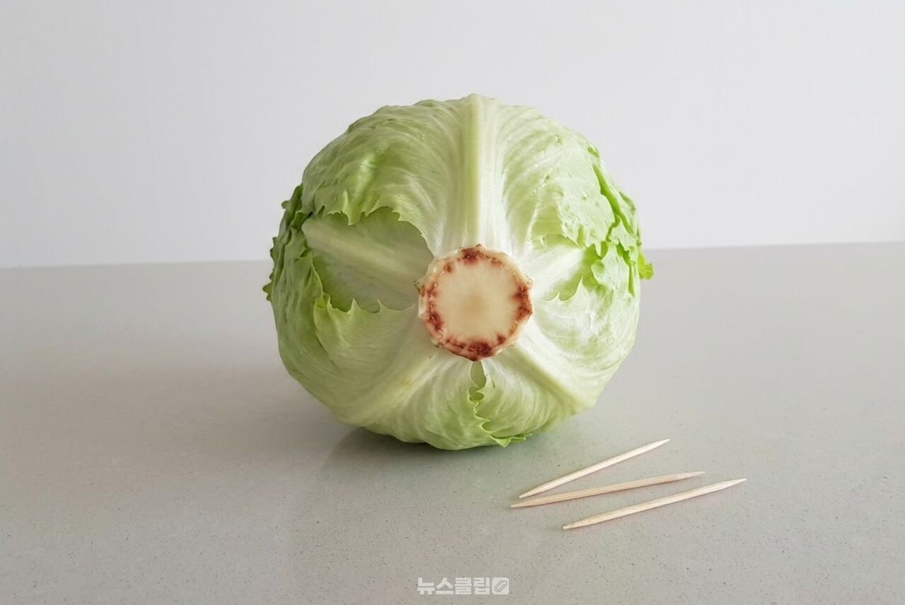 양상추 이쑤시개 보관법 / 기사 이해를 돕기 위한 AI 이미지