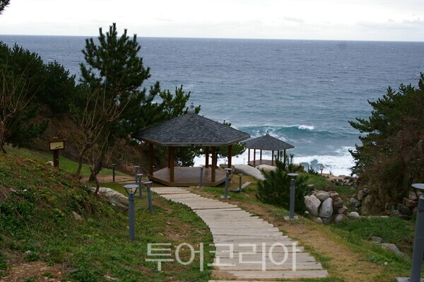 영덕 블루로드/ⓒ투어코리아