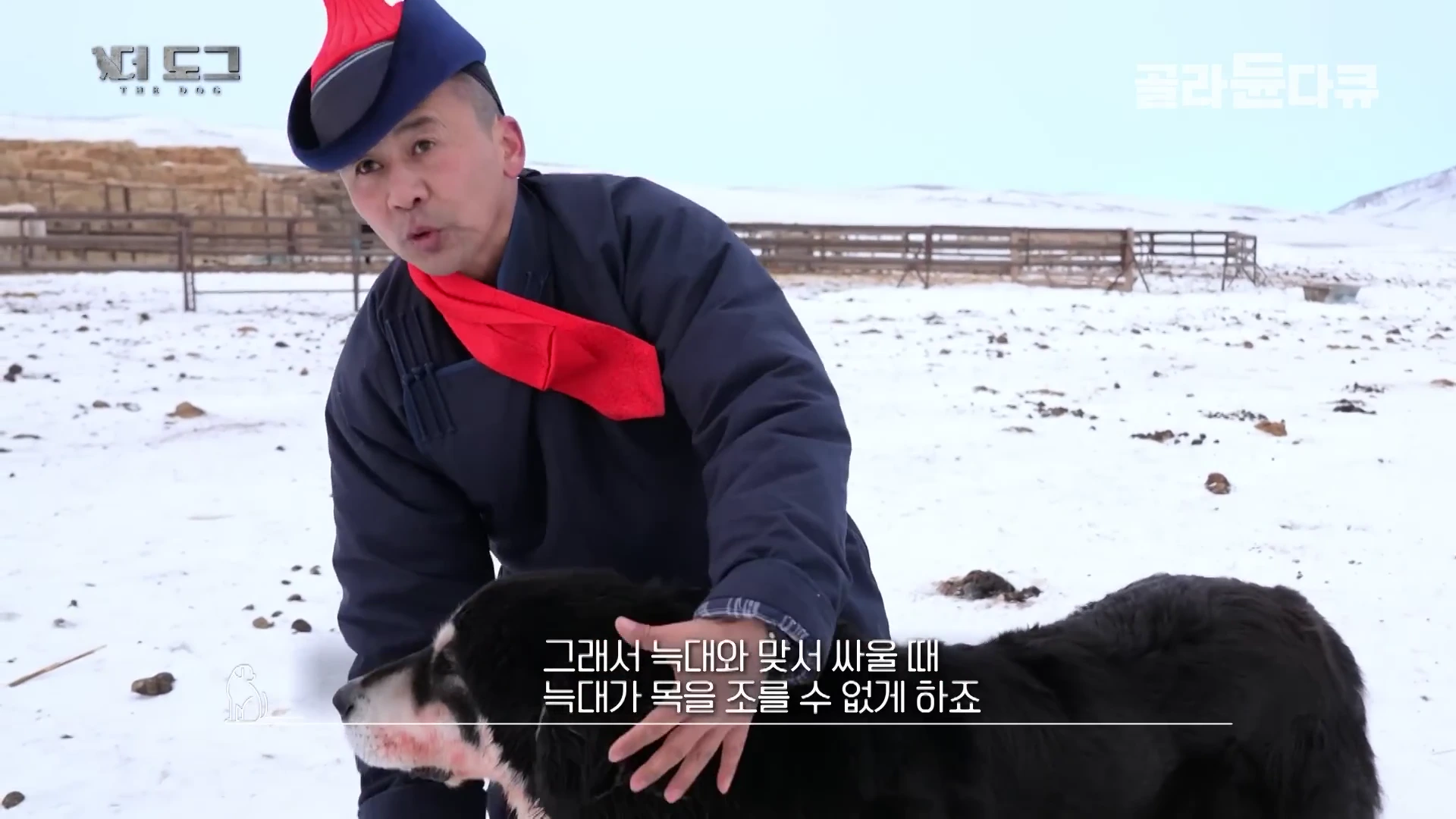전통 의상을 입은 몽골 남성이 눈 덮인 초원에서 검은색 토종견 방카르의 목 주변을 가리키며 설명하고 있다.