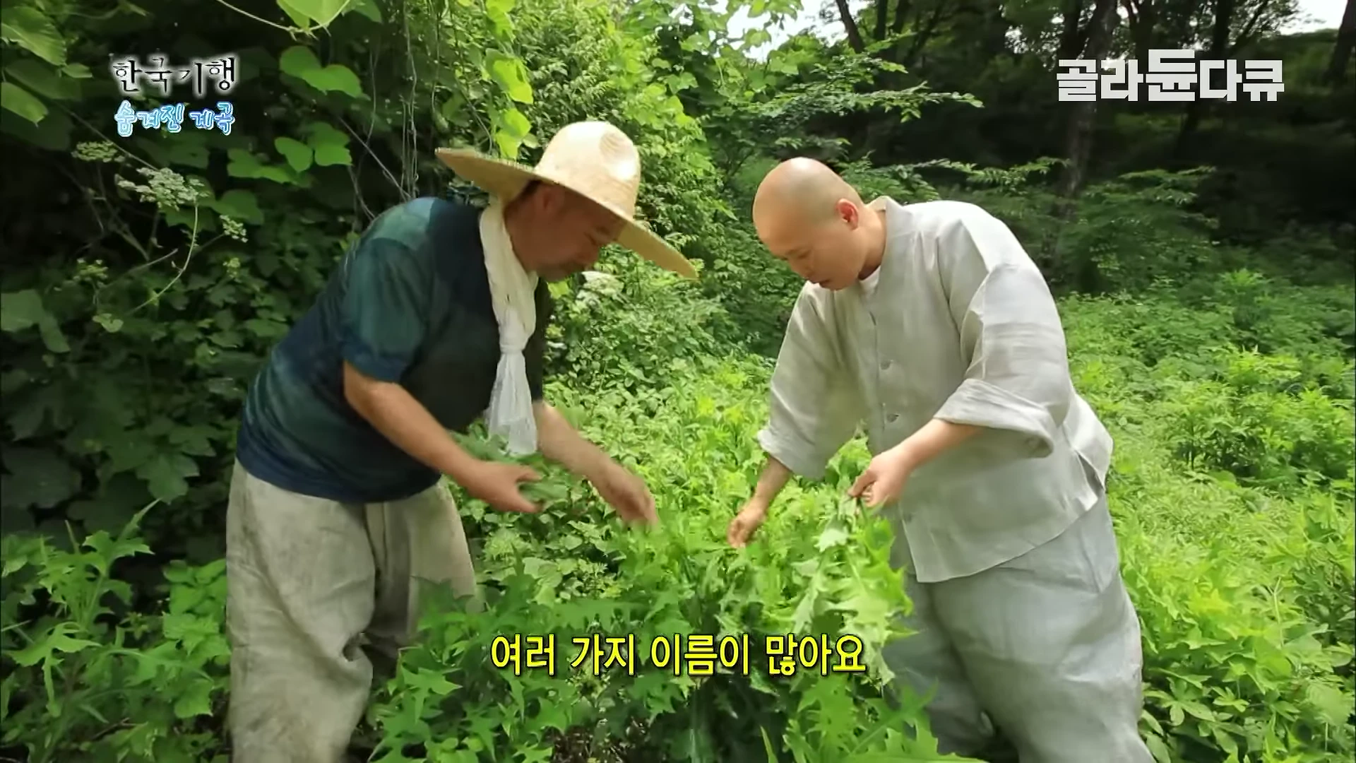 밀짚모자를 쓴 남성과 승려 복장의 남성이 울창한 숲속에서 들풀을 살피고 있는 모습