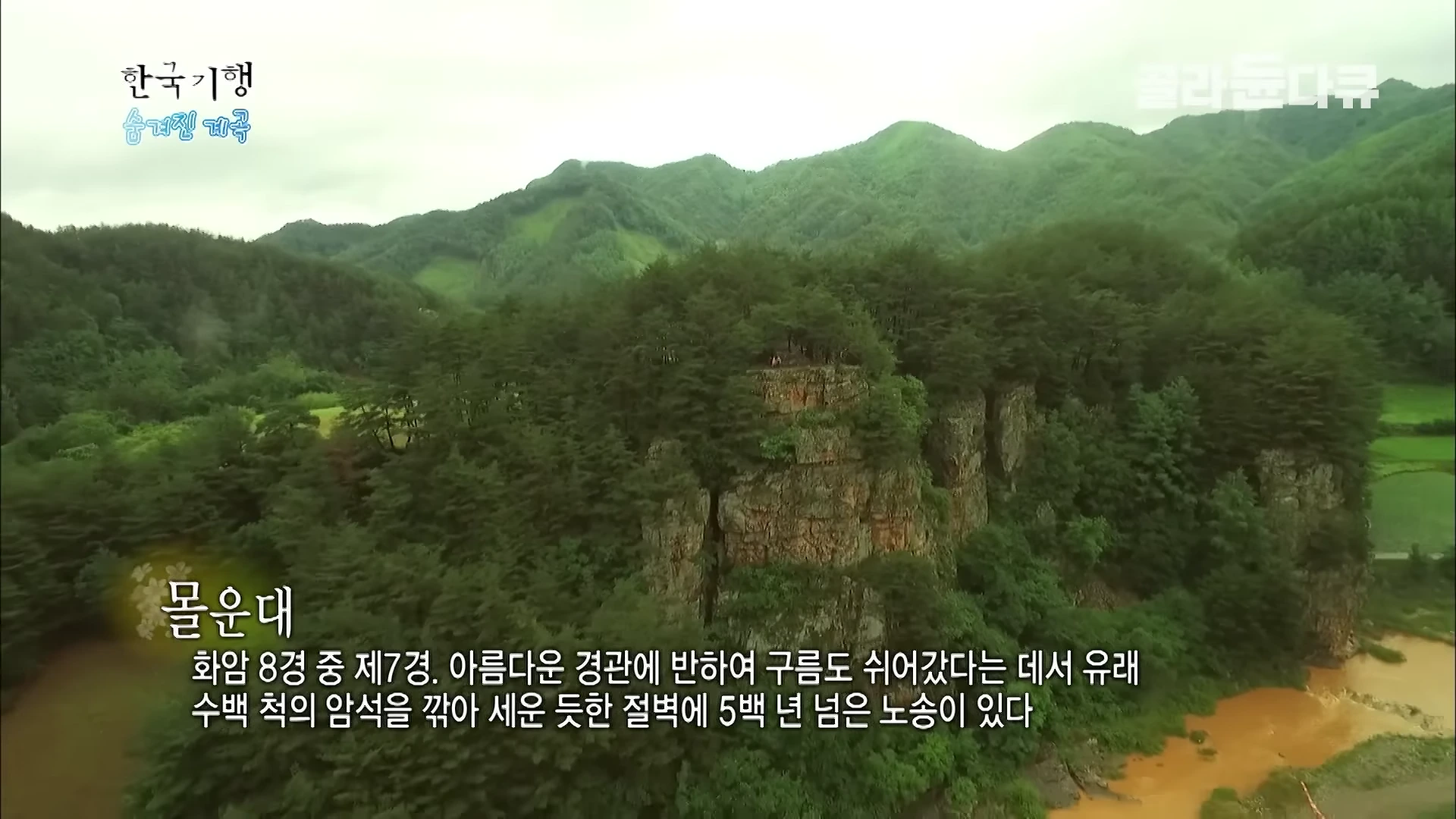 정선의 화암팔경 중 하나인 몰운대의 절벽과 그 위를 덮고 있는 울창한 숲을 위에서 내려다본 모습.